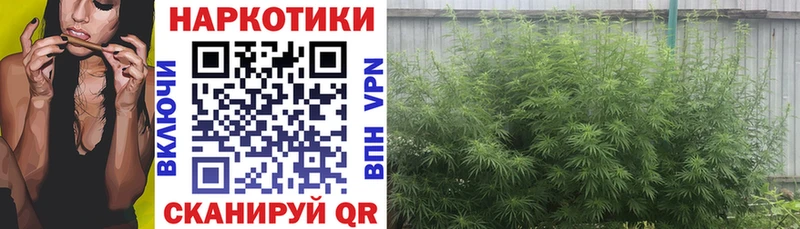 Купить ГАШИШ  Alpha-PVP  Меф  Боровичи