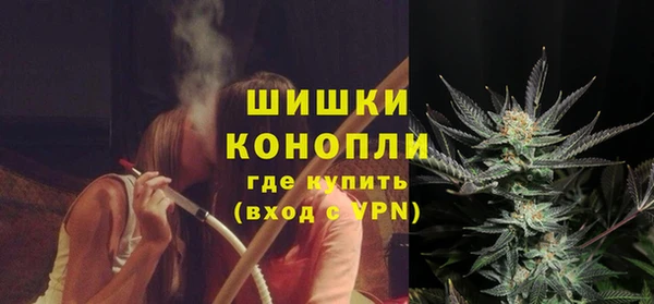 ПСИЛОЦИБИНОВЫЕ ГРИБЫ Рославль