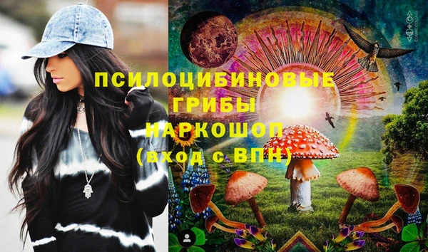 ПСИЛОЦИБИНОВЫЕ ГРИБЫ Рославль