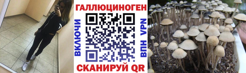 Купить  Боровичи  Галлюциногенные грибы MAGIC MUSHROOMS 