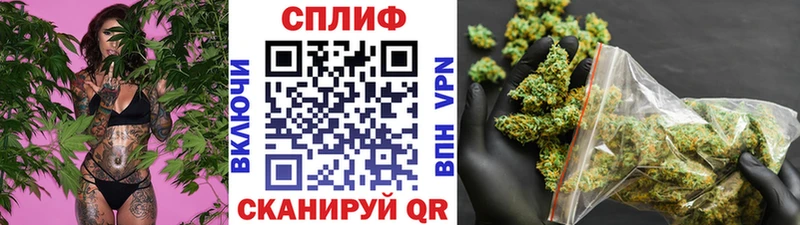 Шишки марихуана планчик Купить где Боровичи